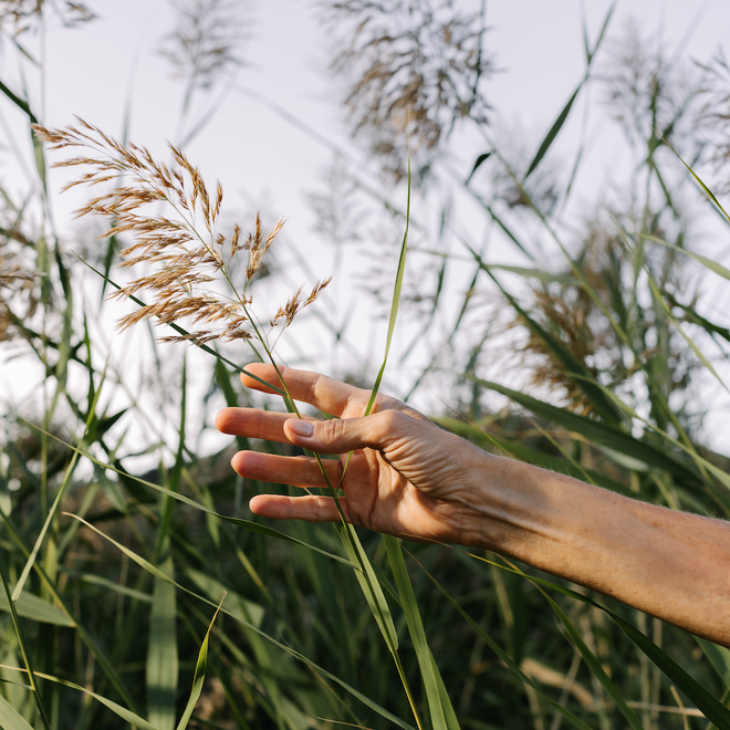 Discover our caring community