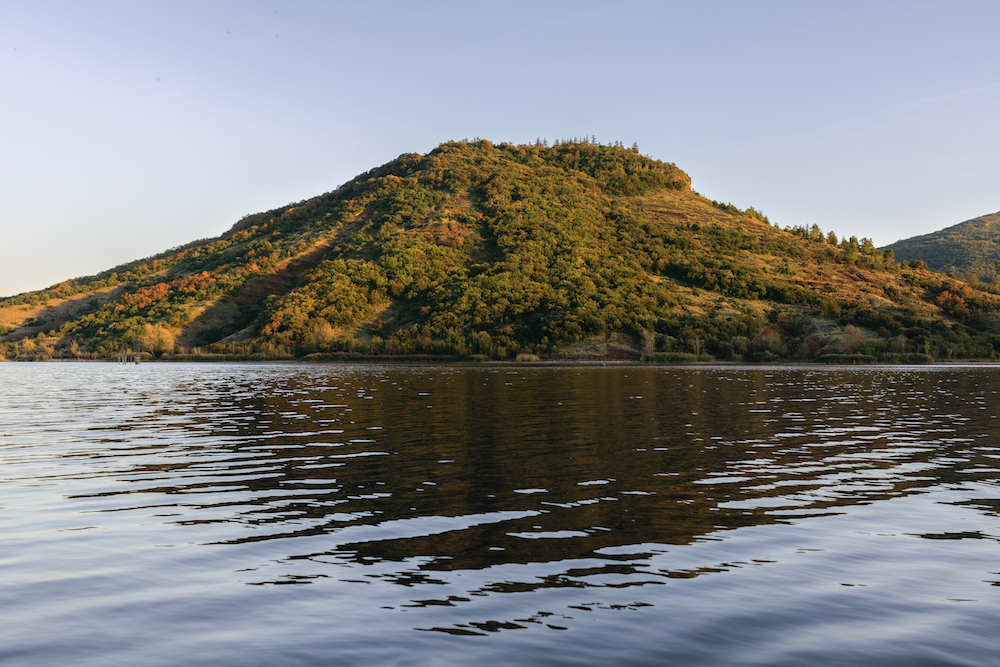 Encuentra nuestros productos en farmacias y parafarmacias