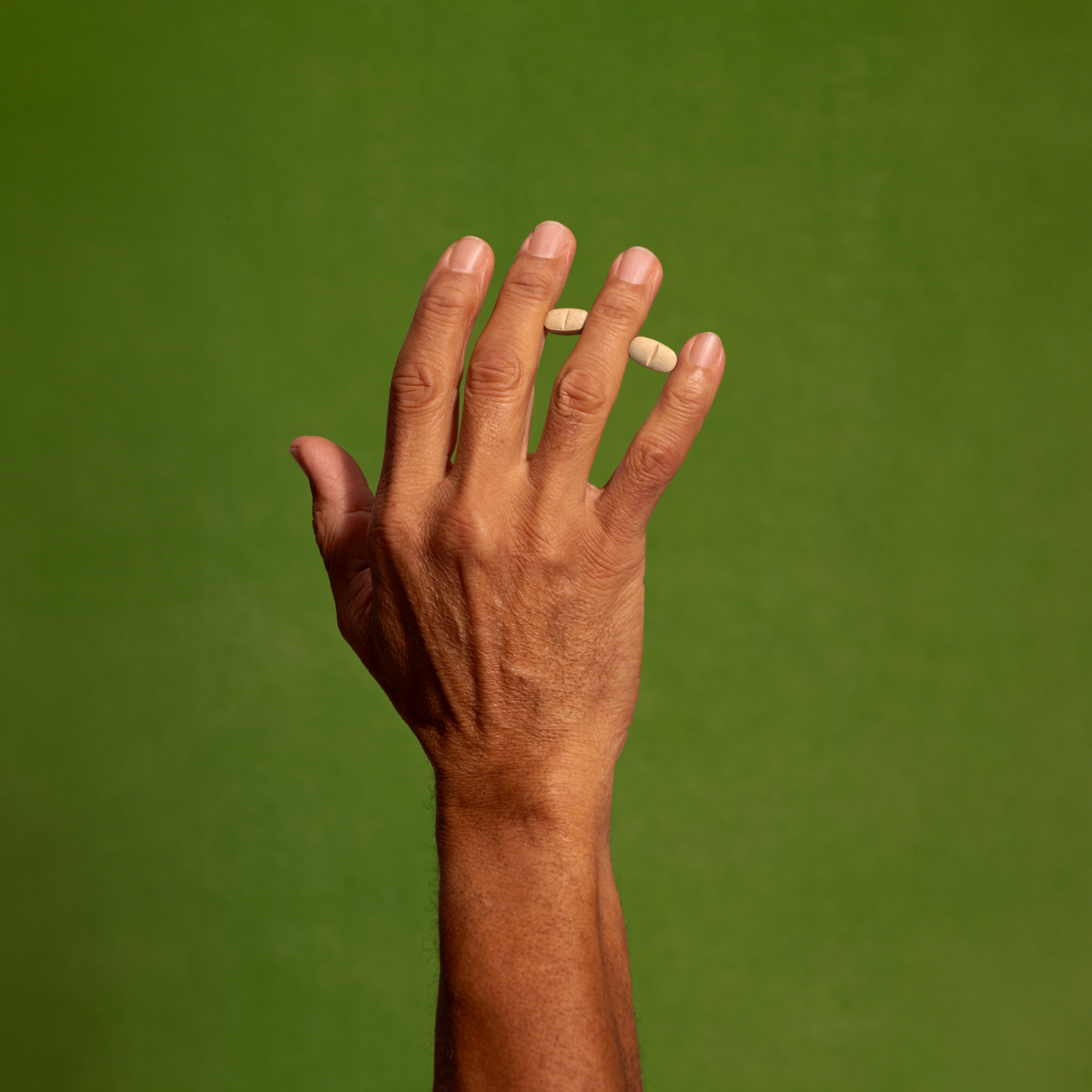 ¡Bienvenido a Iana!