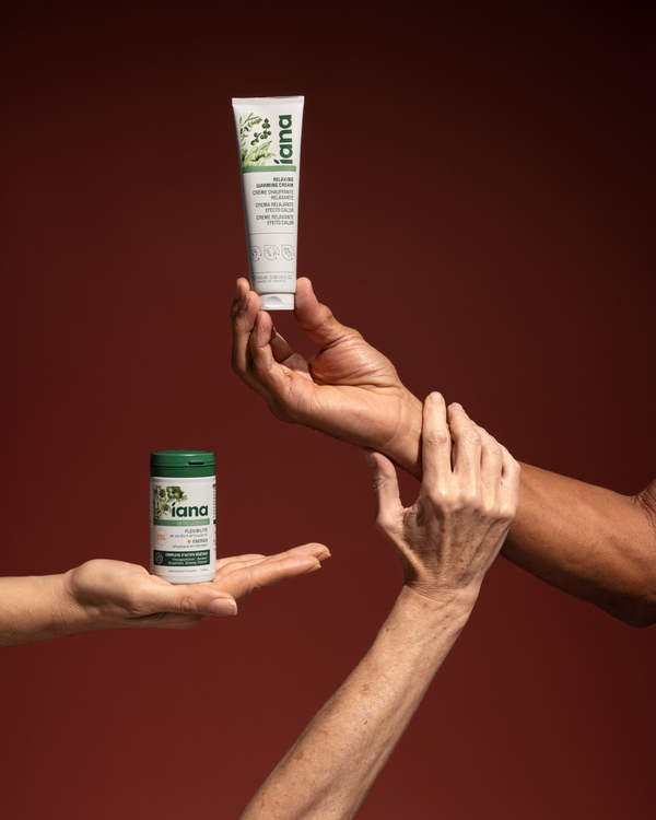 Rutina Flexibilidad y Energía