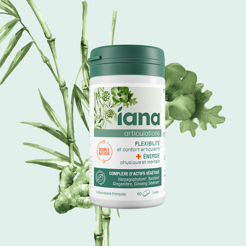 Rutina Flexibilidad y Energía